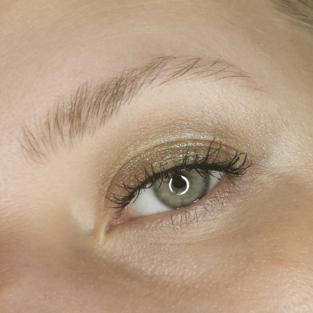 Chantecaille Butterfly Eye Quartet eye look