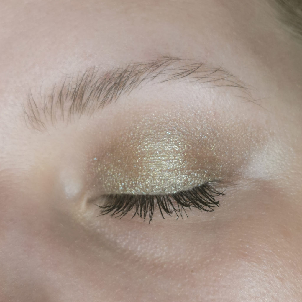 Chantecaille Butterfly Eye Quartet eye look